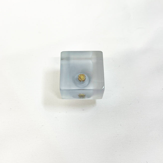 TSUMAMI CUBE